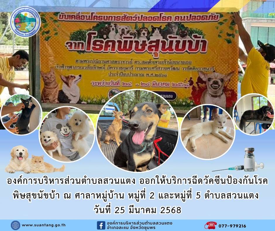 องค์การบริหารส่วนตำบลสวนแตง ออกให้บริการฉีดวัคซีนป้องกันโรคพิษสุขนัขบ้า "ฟรี" ณ ศาลาหมู่บ้าน หมู่ที่ 2 บ้านดวด และหมู่ที่ 5 บ้านแหลมดิน ตำบลสวนแตง อำเภอละแม จังหวัดชุมพร